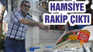 HAMSİYE RAKİP ÇIKTI