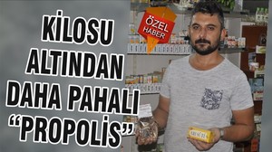 KİLOSU ALTINDAN DAHA PAHALI “PROPOLİS”