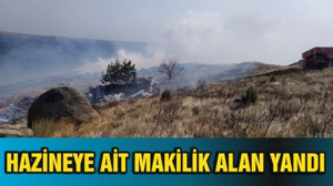HAZİNEYE AİT MAKİLİK ALAN YANDI