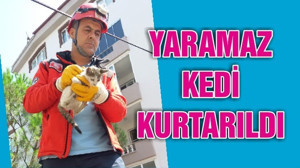 YARAMAZ KEDİ KURTARILDI
