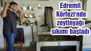 Edremit Körfezi'nde zeytinyağı sıkımı başladı