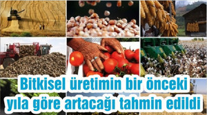 Bitkisel üretimin bir önceki yıla göre artacağı tahmin edildi