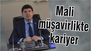 Mali müşavirlikte kariyer