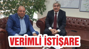 VERİMLİ İSTİŞARE