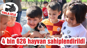 4 bin 626 hayvan sahiplendirildi