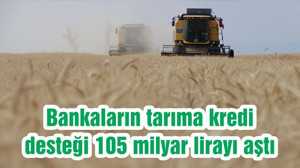 Bankaların tarıma kredi desteği 105 milyar lirayı aştı