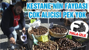 KESTANE’NİN FAYDASI ÇOK ALICISI PEK YOK