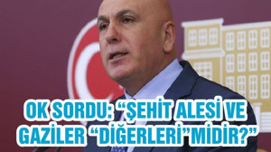 OK SORDU: “ŞEHİT ALESİ VE GAZİLER “DİĞERLERİ”MİDİR?”