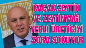 KAÇAK ZEYTİN VE ZEYTİNYAĞI YERLİ ÜRETİCİYİ ZORA SOKUYOR