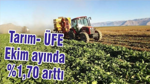 Tarım- ÜFE Ekim ayında %1,70 arttı