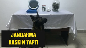 JANDARMA BASKIN YAPTI