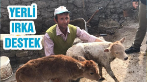 YERLİ IRKA DESTEK
