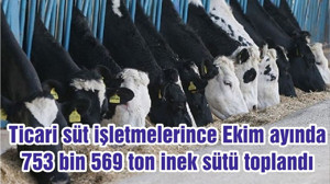 Ticari süt işletmelerince Ekim ayında 753 bin 569 ton inek sütü toplandı