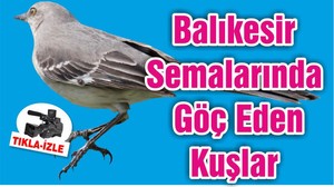 Balıkesir Semalarında Göç Eden Kuşlar