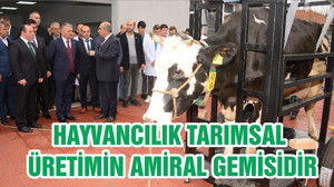 HAYVANCILIK TARIMSAL ÜRETİMİN AMİRAL GEMİSİDİR