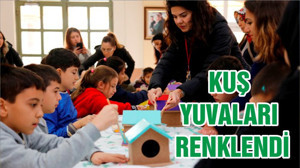 KUŞ YUVALARI RENKLENDİ