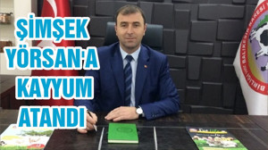 ŞİMŞEK YÖRSAN'A KAYYUM ATANDI