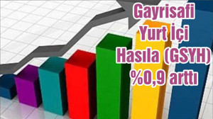 Gayrisafi Yurt İçi Hasıla (GSYH) %0,9 arttı