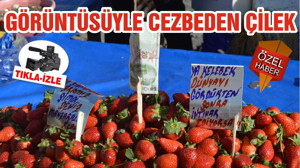 GÖRÜNTÜSÜYLE CEZBEDEN ÇİLEK