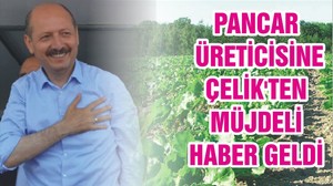 PANCAR ÜRETİCİSİNE ÇELİK'TEN MÜJDELİ HABER GELDİ