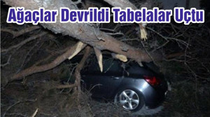 Ağaçlar Devrildi Tabelalar Uçtu