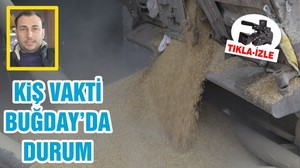 KIŞ VAKTİ BUĞDAY’DA DURUM