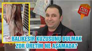 BALIKESİR KUZUSUNU BULMAK ZOR ÜRETİM NE AŞAMADA?