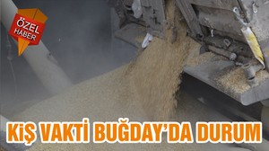 KIŞ VAKTİ BUĞDAY’DA DURUM