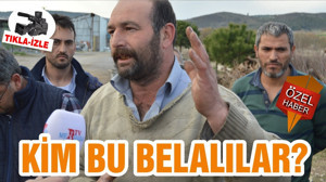 KİM BU BELALILAR?