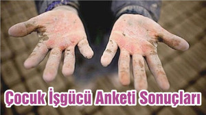 Çocuk İşgücü Anketi Sonuçları