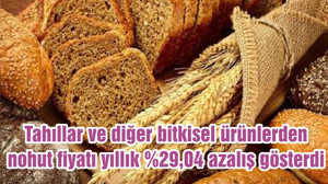 Tahıllar ve diğer bitkisel ürünlerden nohut fiyatı yıllık %29,04 azalış gösterdi