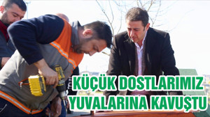 KÜÇÜK DOSTLARIMIZ YUVALARINA KAVUŞTU