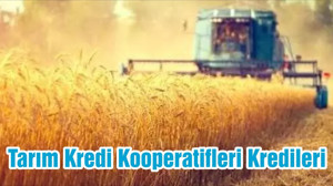 Tarım Kredi Kooperatifleri Kredileri