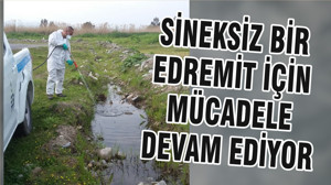 SİNEKSİZ BİR EDREMİT İÇİN MÜCADELE DEVAM EDİYOR