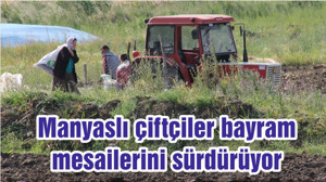 Manyaslı çiftçiler bayram mesailerini sürdürüyor