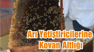 Arı Yetiştiricilerine Kovan Altlığı