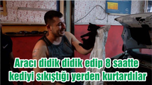 Aracı didik didik edip 8 saatte kediyi sıkıştığı yerden kurtardılar