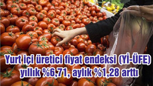Yurt içi üretici fiyat endeksi (Yİ-ÜFE) yıllık %6,71, aylık %1,28 arttı