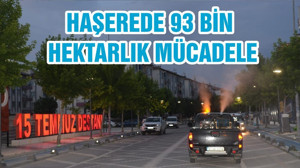 HAŞEREDE 93 bin HEKTARLIK MÜCADELE
