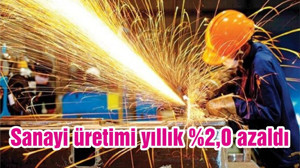Sanayi üretimi yıllık %2,0 azaldı