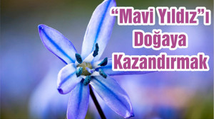 “Mavi Yıldız”ı Doğaya Kazandırmak
