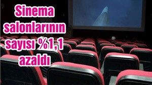 Sinema salonlarının sayısı %1,1 azaldı