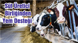 Süt Üretici Birliğinden Yem Desteği