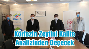 Körfezin Zeytini Kalite Analizinden Geçecek
