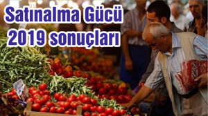 Satınalma Gücü 2019 sonuçları