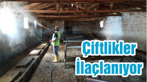 Çiftlikler İlaçlanıyor