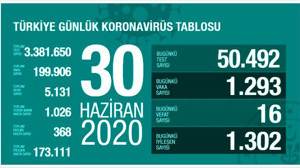 Türkiye'de 30 Haziran günü koronavirüs nedeniyle 16 kişi hayatını kaybetti, 1293 yeni vaka tespit edildi