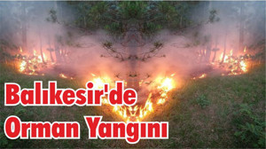 Balıkesir’de Orman Yangını