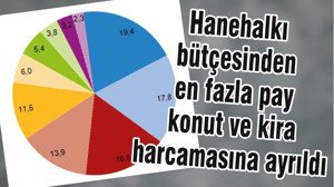 Hanehalkı bütçesinden en fazla pay konut ve kira harcamasına ayrıldı