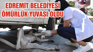 EDREMİT BELEDİYESİ ÖMÜRLÜK YUVASI OLDU